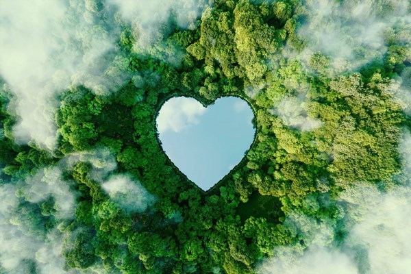 Corazón en la naturaleza, sostenibilidad Marcas que Enamoran